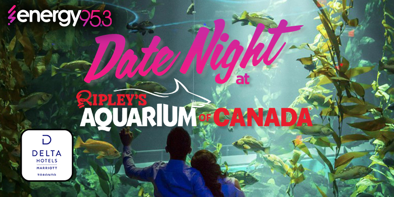 Date Night at Ripley’s Aquarium 